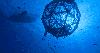 Florida offshore aquaculture project cleared after eight-year wait