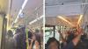 Packed like sardines: Why Transport Malta's 'one overcrowded bus claim' doesn't add up