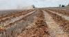 Funds offered for Texans adopting, utilizing soil-building practices