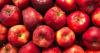 Health minister defends decision to relax limit on apple pesticide