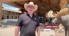 In HelloNation, Travel Expert Larry King Examines Cody, Wyoming as a Yellowstone Travel Base