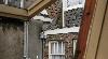Heat-related deaths in Amsterdam could double due to climate change, aging population