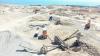 Freehill signs MOU with Austral Gold to pursue Chile copper opportunities
