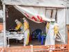 Ebola deaths double in two weeks as WHO warns virus is outrunning response