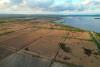 We Don't Have Time : Montenegro's Bird Haven Fading