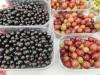 Berry good – Latvia's juiciest exports have growth potential