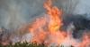 Media 'failing to report truth' on wildfires as climate change neglected in reporting
