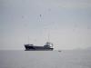 Indian seafarer missing after Oman vessel attack dead, family says