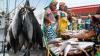 Dangote reveals Nigeria spends $1 billion every year importing fish despite vast water resources