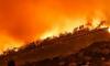 Croatia to crack down on neglected private land as wildfire risk rises