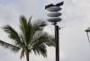 Column: Actively prepare for Hawaii emergencies