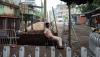 Killing of 11-year-old reignites debate over sexual violence in India