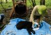 Japan family finds bear in kitchen