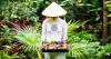 Accor bets big on Vietnam