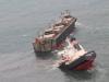 Bulk Carrier ‘Luni’ Breaks in Half, Sinks Near Strait of Hormuz