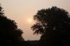 Wildfire Smoke Is Back: A New Yorker’s Guide to Staying Safe