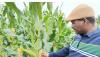 ABOUT MAIZE FLOOR PRICE VERSUS MOISTURE CONTENT: WHAT IS THE CONNECTION?- Sean Tembo