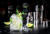 The World’s Best Gin, According To The Global Spirits Masters