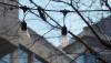 Russian strikes cause new power outages in four regions – Ukrenergo