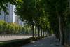 Portugal could set a 30% tree cover target for urban neighbourhoods by 2035