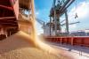 Omsk Region begins grain supplies to Libya, Nigeria, Angola and South Africa — minister