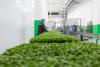 Climate-Smart Africa: Building Resilient Food Systems for Future Generations