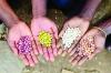 Seed bank planned for Uuvudhiya constituency