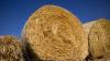 Spanish straw available in Ireland but market ‘not flush’ with supplies