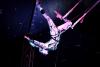 Germany’s Great Bavarian Circus to make first-ever stop in Columbus