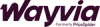 Wayvia Launches Professional Services Division in Major Expansion, Names Two Industry Veterans to Its Leadership Team
