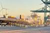 155 hospitalised as toxic gas leak forces Antwerp box terminals to close