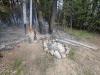 Forest Service Looking for Idaho Fire Bug
