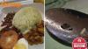 Hospital says ‘cockroach’ found in patient’s meal was actually an anchovy
