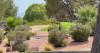 Development projects in east Las Vegas raise concerns about local wildlife