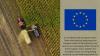 EU competition authorities concluded 110 agri-sector investigations between 2017-2025