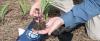 Kansas farm family highlights success with regenerative agriculture