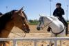 Hawthorne Race Course faces possible closure after bankruptcy sale goes to bidder for real estate only