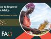 FAO webinar urges stronger partnerships
