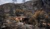 Seven Britons among 13 dead after wildfires in Spain