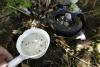 Wisconsin Reports Its First West Nile Virus Activity as 23 States Enter a Record Early Season