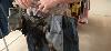 Baltimore County police say suspect torched a Towson vintage store after verbal confrontation
