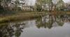 Protecting Freshwater Wetlands in Delaware