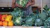 Harvesting Better Health