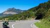 ‘It thrives on every road’
