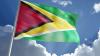 Guyana’s rice production increases significantly