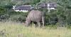 GARDEN ROUTE | Where beach meets best of the bush on Garden Route