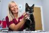 'Meowzart' and 'Für Elise': The West Yorkshire vet practice playing classical music to soothe stressed cats