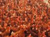 AG to try again to settle poultry pollution lawsuit