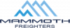 Mammoth Freighters Selects STAECO to Establish 777 Conversion Capability in Qingdao, China