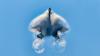 US Air Force F-22 Raptors From Alaska Have Deployed to Tsuiki Air Base in Japan for Keen Sword 27, a 45,000-JSDF, 12,000-American Exercise Focused on the Islands Closest to Taiwan